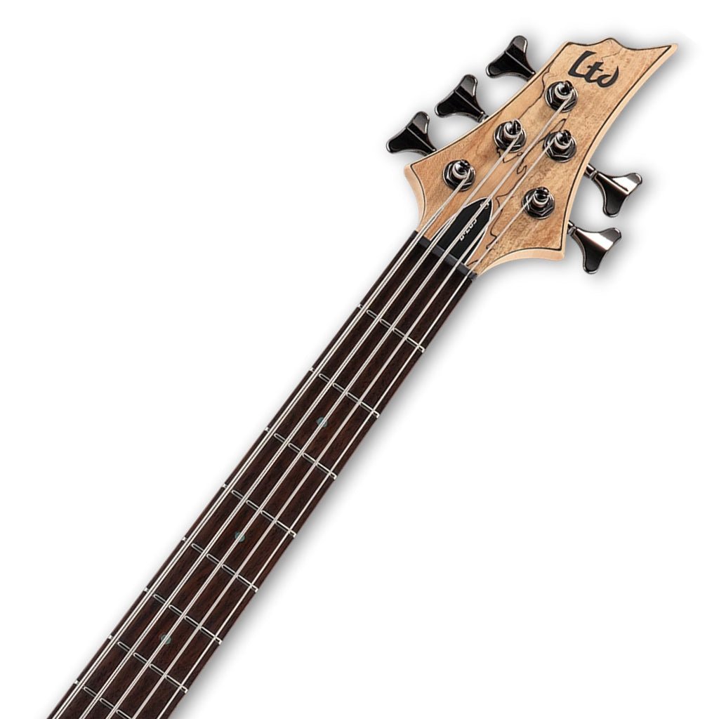 ESP LTD B-205 Spalted Maple 5-String Bass - Natural Satin Bass Guitars Sky Music