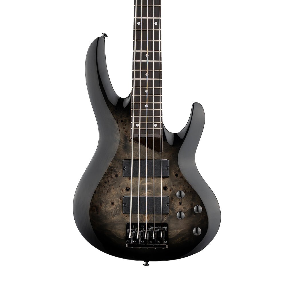 ESP LTD B-205DX 5-String Bass Guitar - Black Burst Bass Guitars Sky Music
