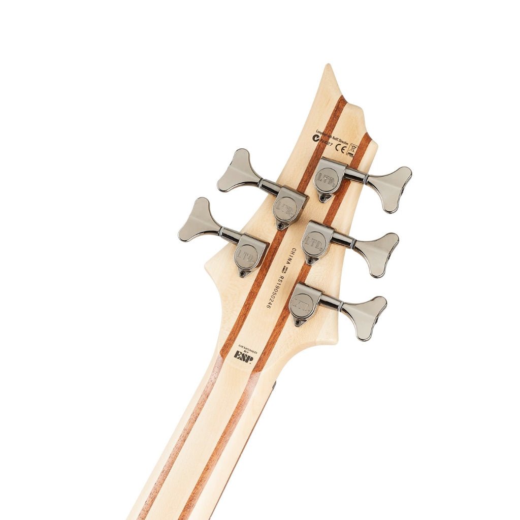 ESP LTD B-205SM 5-String Fretless Bass Guitar - Natural Satin Bass Guitars Sky Music