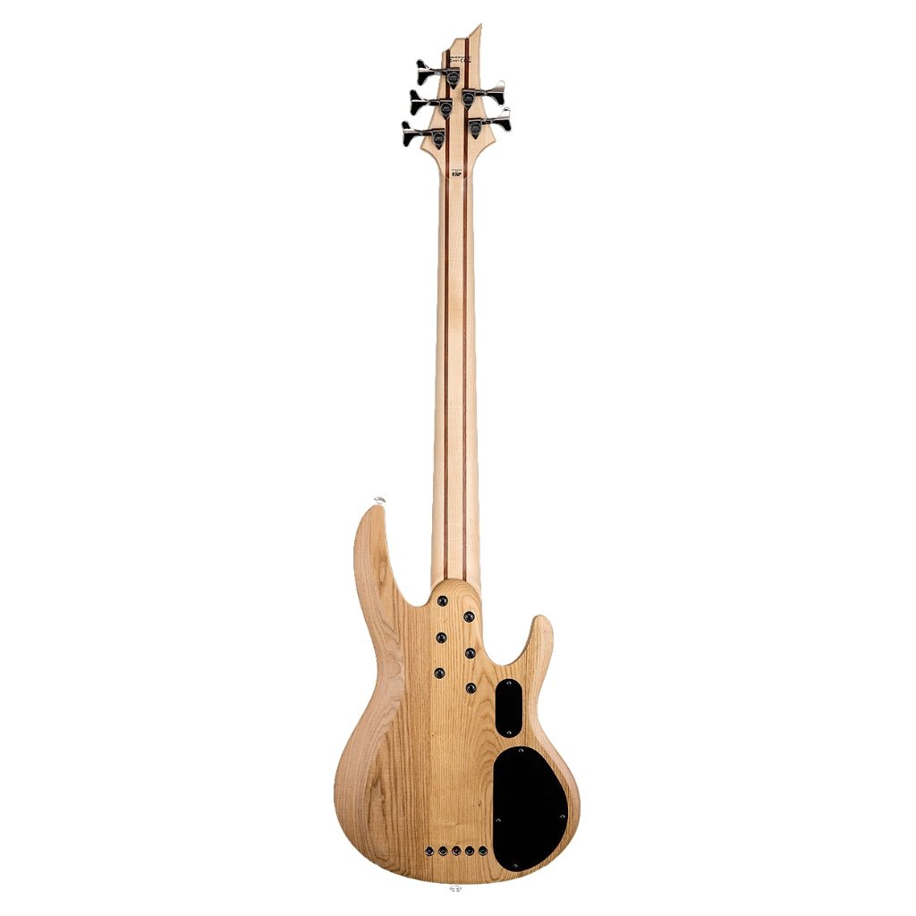 ESP LTD B-205SM 5-String Fretless Bass Guitar - Natural Satin Bass Guitars Sky Music