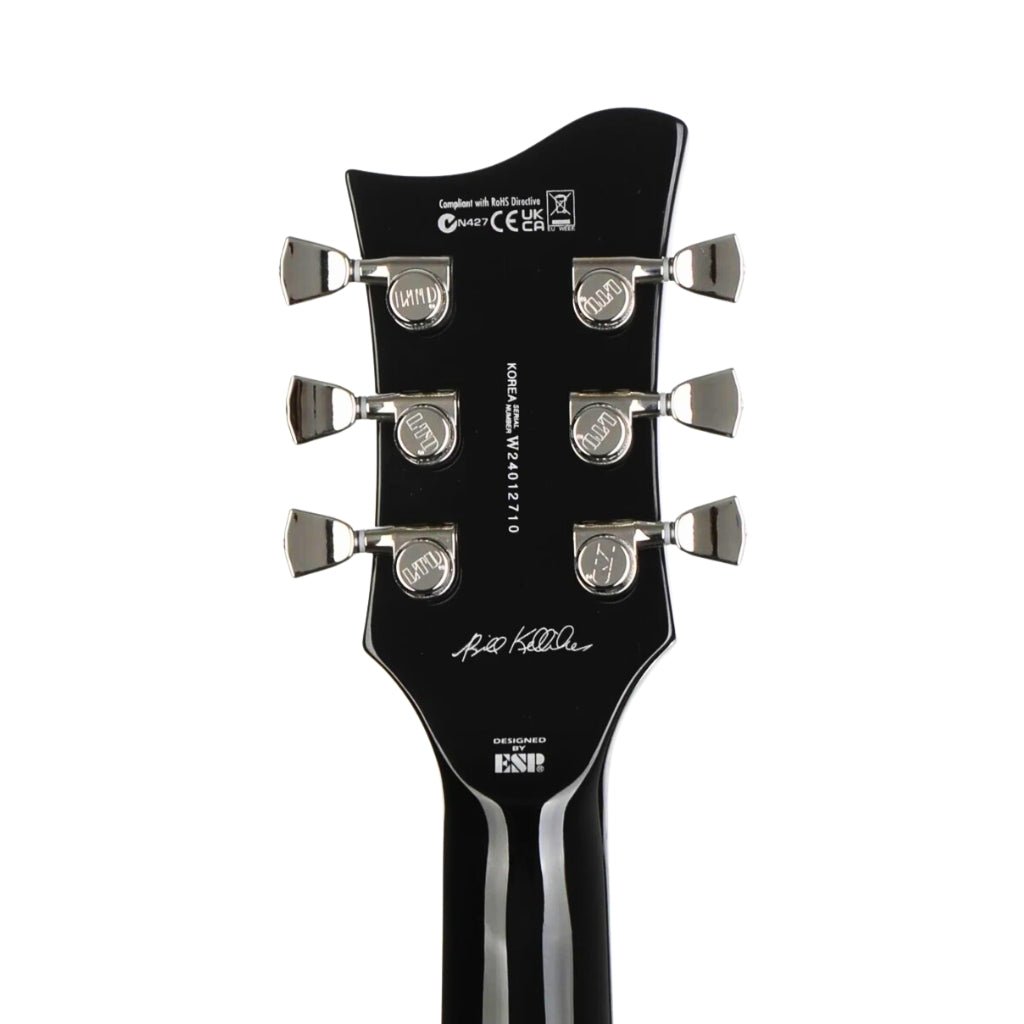 ESP LTD Bill Kelliher Sparrowhawk Vintage Electric Guitar - Silver Sunburst Electric Guitars Sky Music