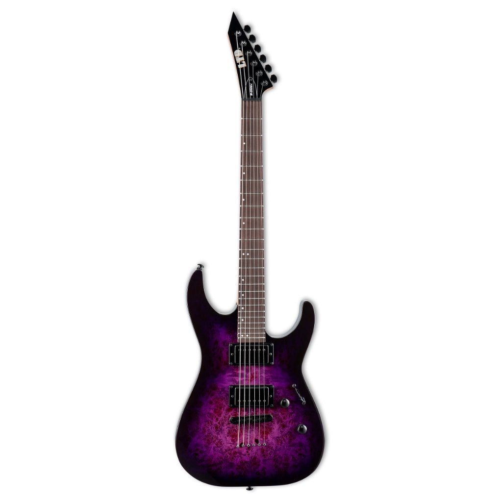 ESP LTD M-200DX NT Electric Guitar - Purple Burst Electric Guitars Sky Music