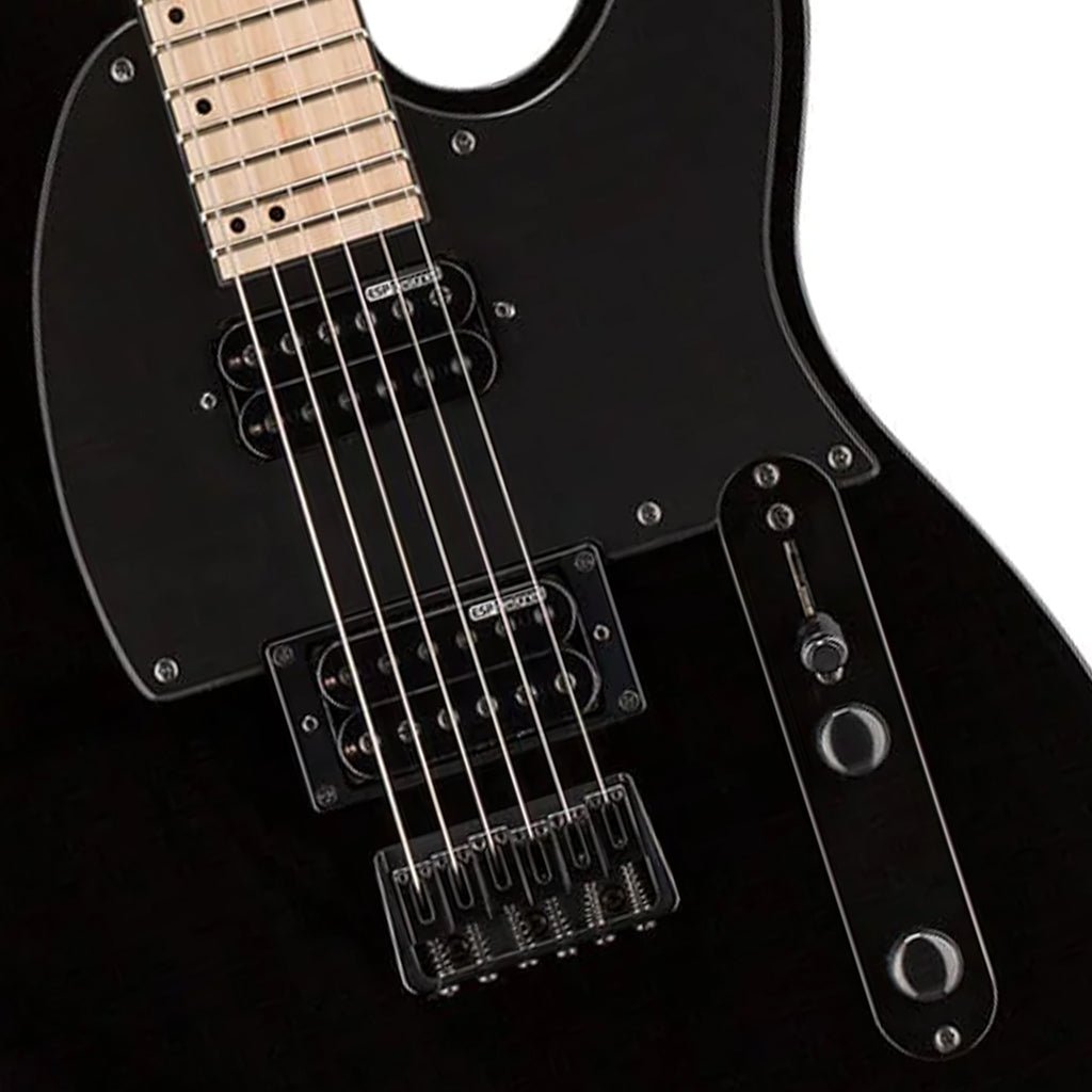 ESP LTD TE-200 Maple Board Black Finish Electric Guitars Sky Music