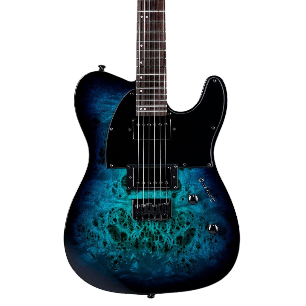 ESP LTD TE-200DX Electric Guitar - Blue Burst Electric Guitars Sky Music