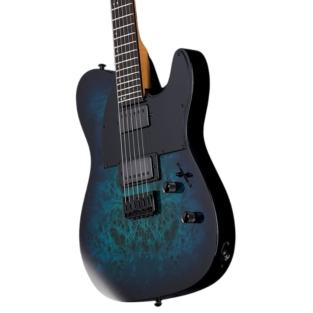 ESP LTD TE-200DX Electric Guitar - Blue Burst Electric Guitars Sky Music