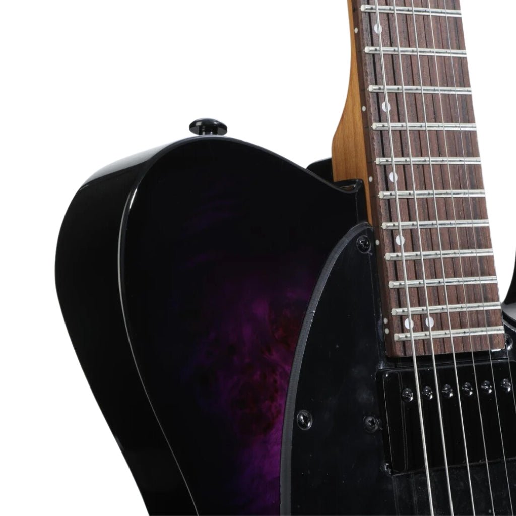 ESP LTD TE-200DX Electric Guitar - Purple Burst Electric Guitars Sky Music