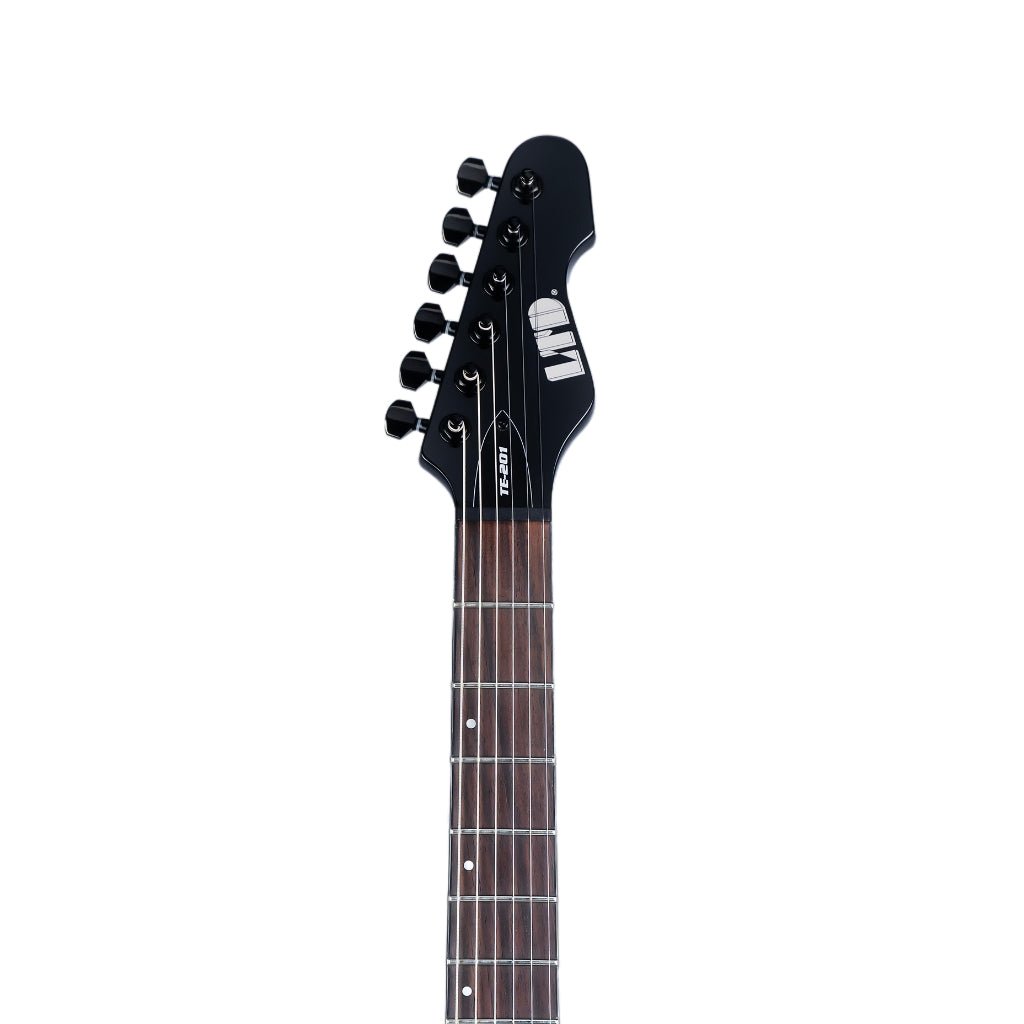 ESP LTD TE-201 Electric Guitar - Gloss Black Electric Guitars Sky Music