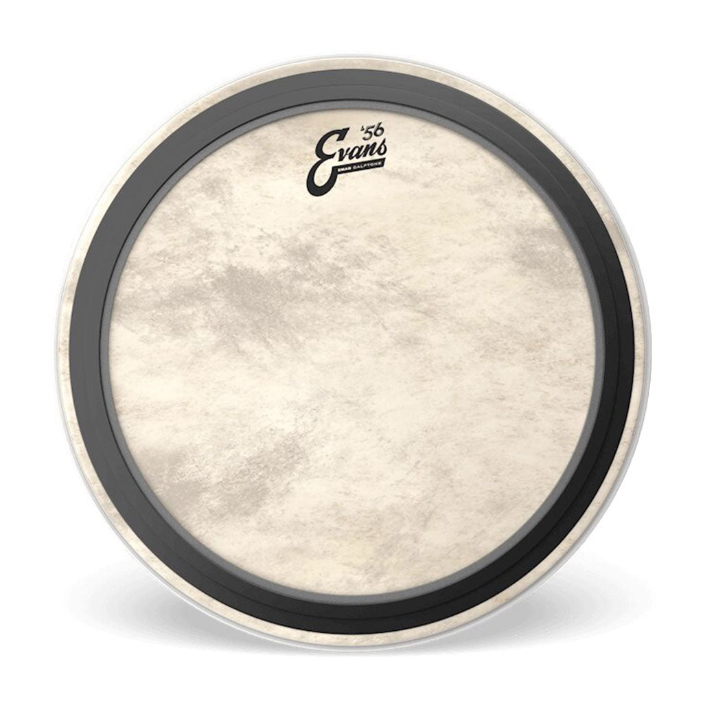 Evans 20" EMAD Batter Calftone Drum Heads Sky Music