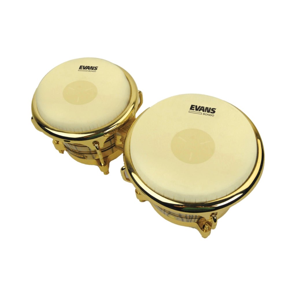 Evans EB09 TriCenter Bongo Head Pack - 7.25 & 8.75 inches Drum Heads Sky Music