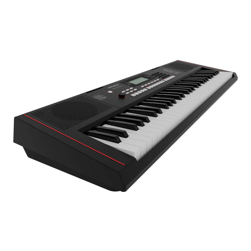 Roland E X10 Portable Keyboard