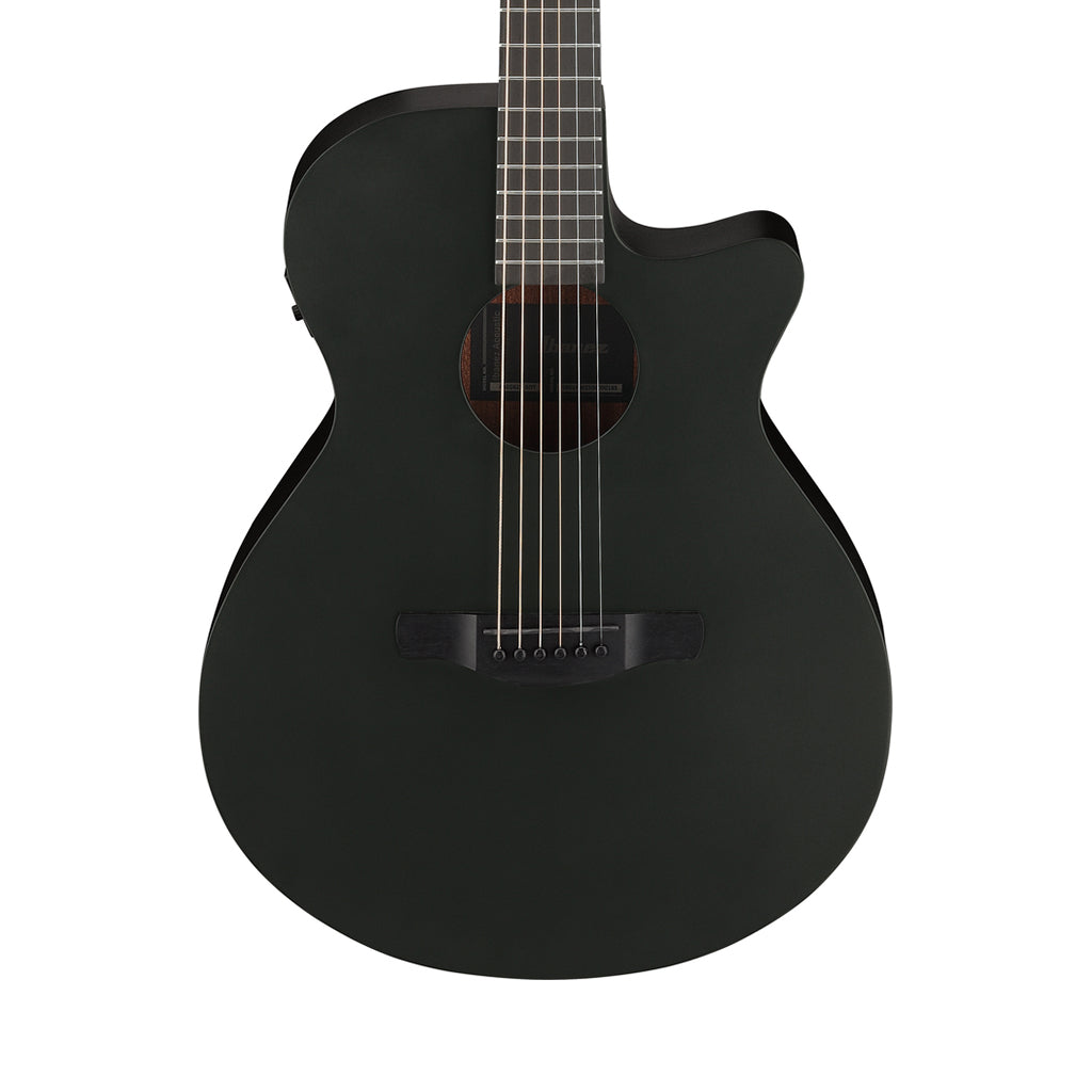Ibanez AEG621 Acoustic Guitar w/Pickup - Black Out