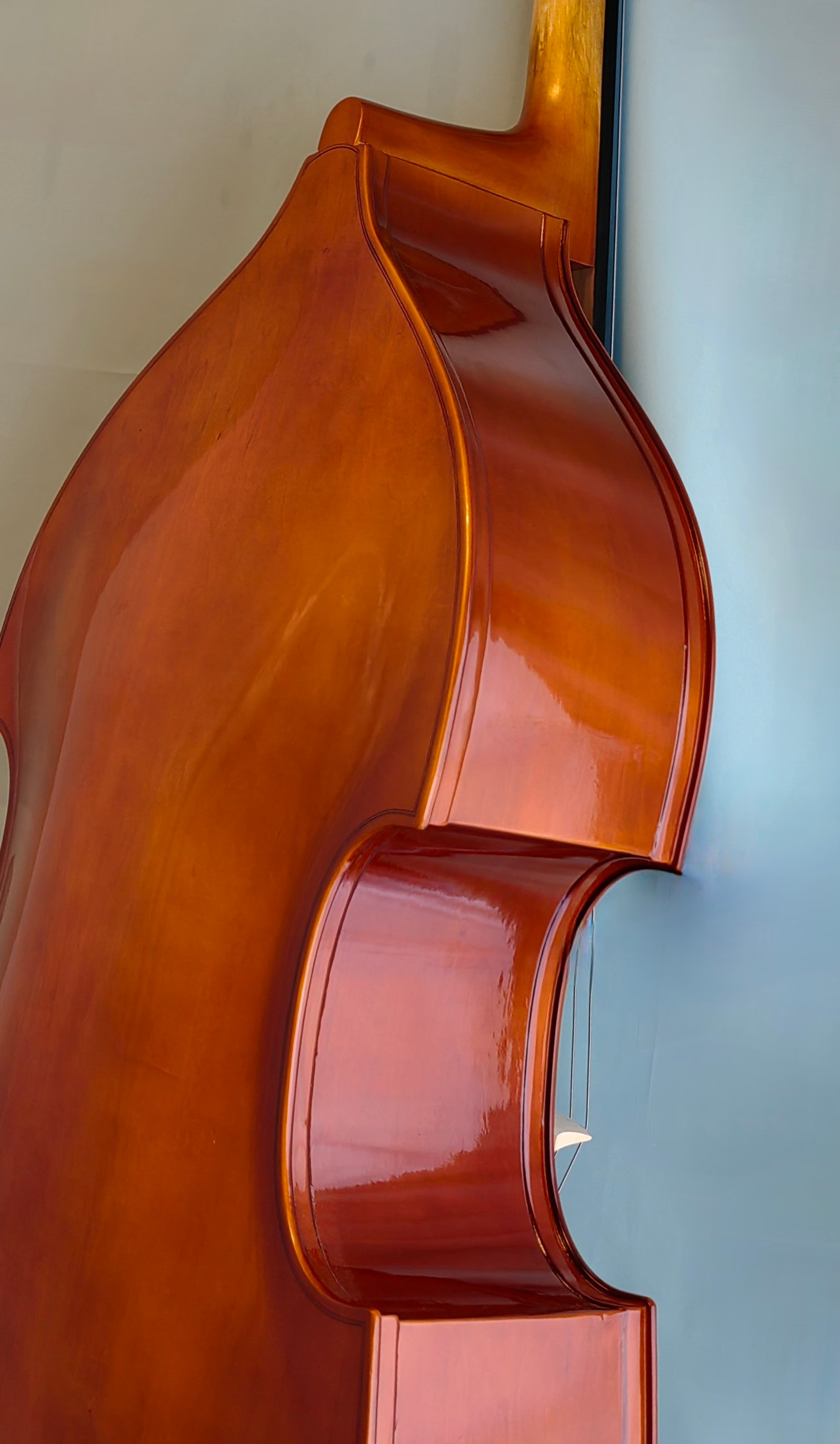 Nameless Upright Double Bass SDB1, 3/4 Size,  with Bow and Bag