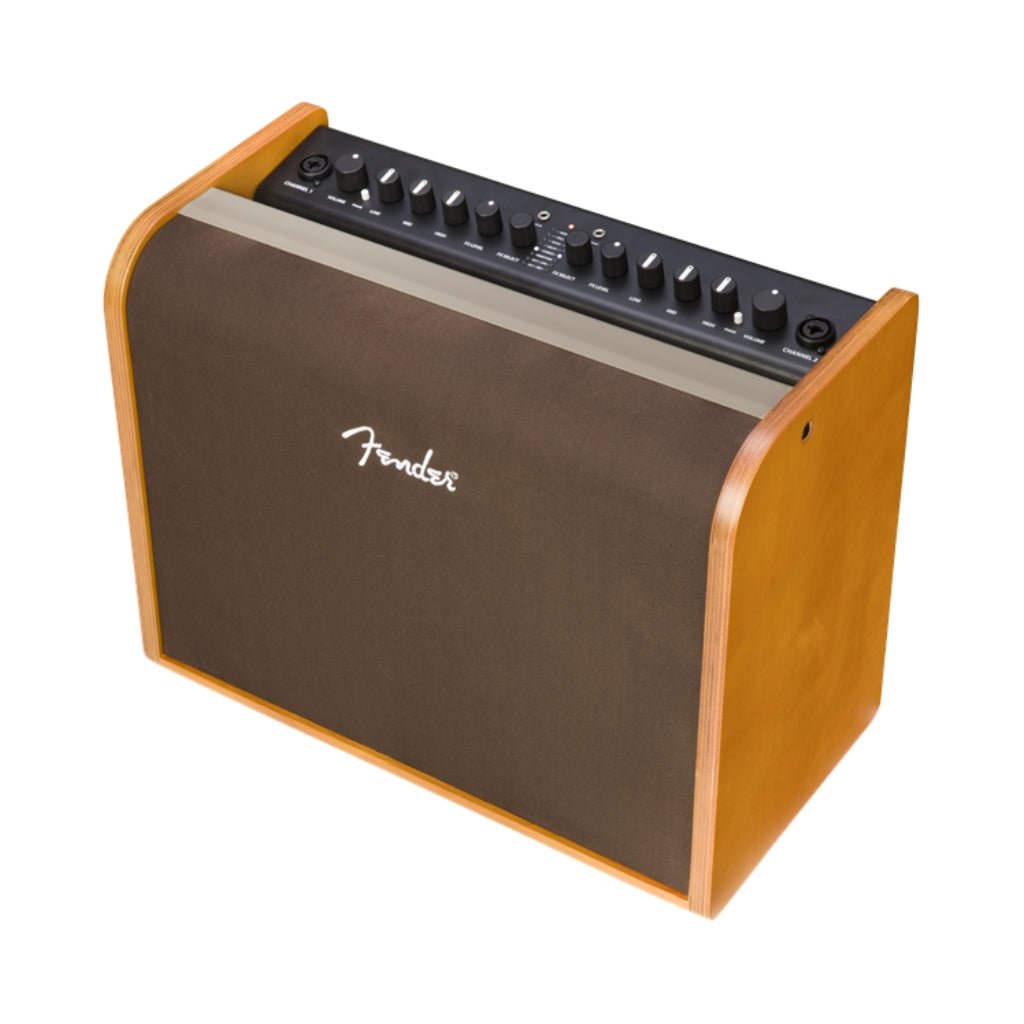 Fender Acoustic 100 Guitar Amplifier Acoustic Guitar Amplifiers Sky Music