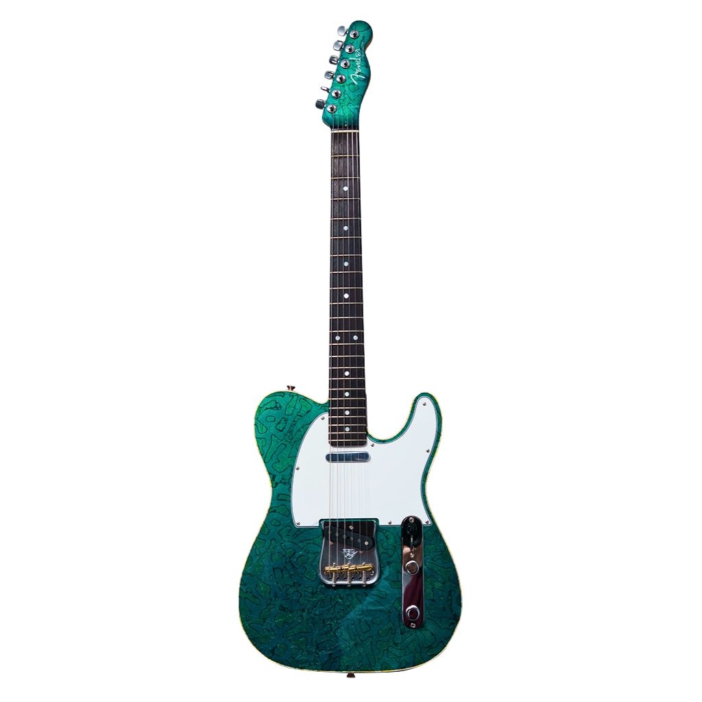 Fender Custom Shop Masterbuilt Telecaster NOS Foil Top by David Brown - Bronze Back Electric Guitars Sky Music