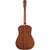 Fender PD220E Dreadnought in Natural