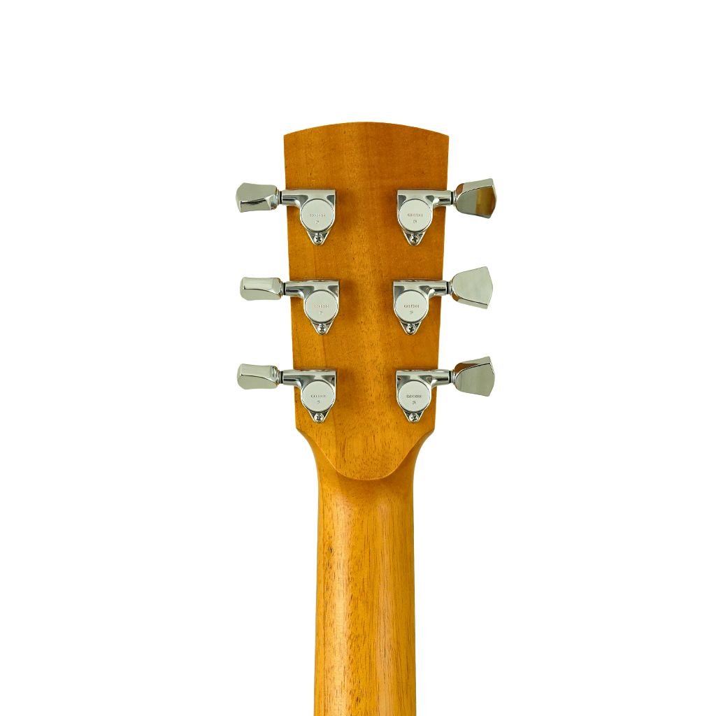 Fenech VT D78 Cutaway - Camphor B&S Acoustic Guitars Sky Music