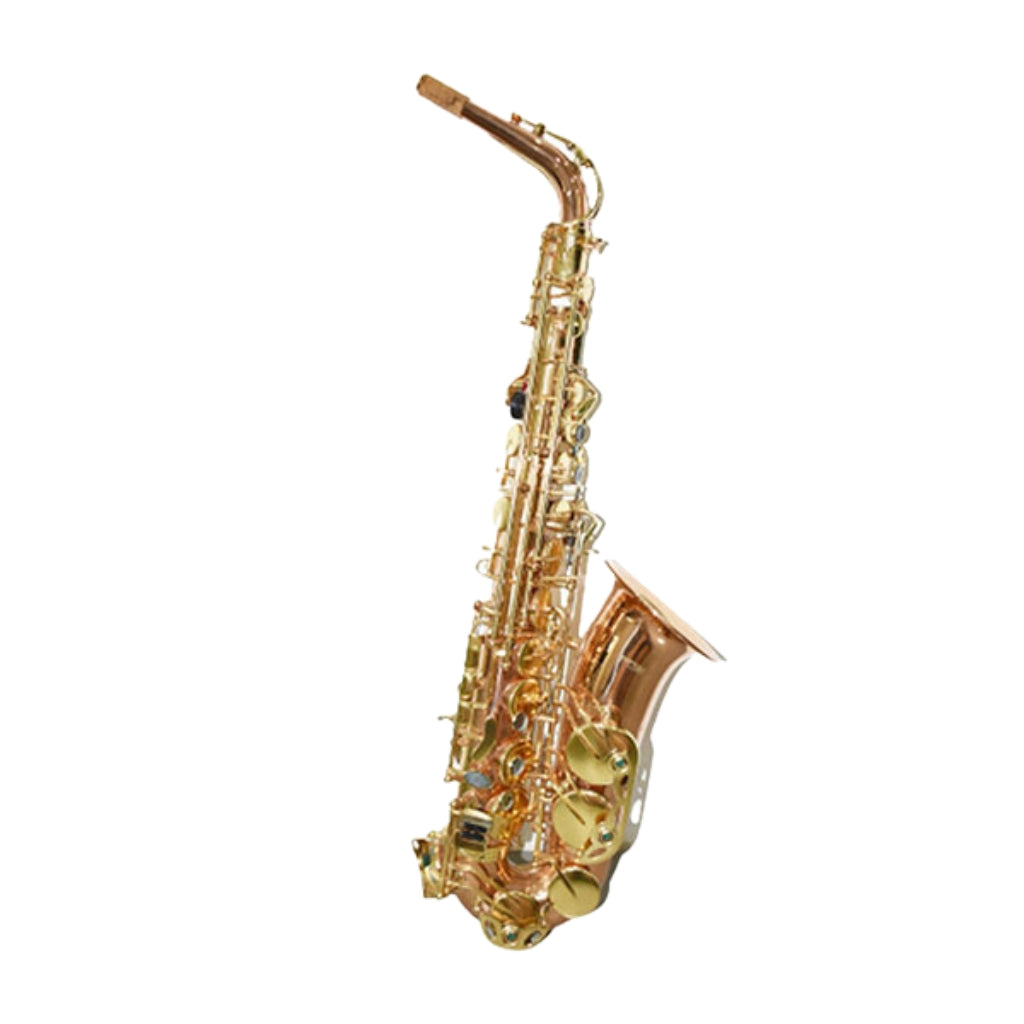 Knight - JBAS1010L Alto Saxophone