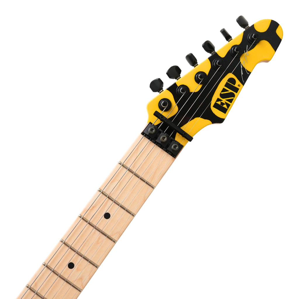 ESP Custom Shop George Lynch Signature M1 Tiger