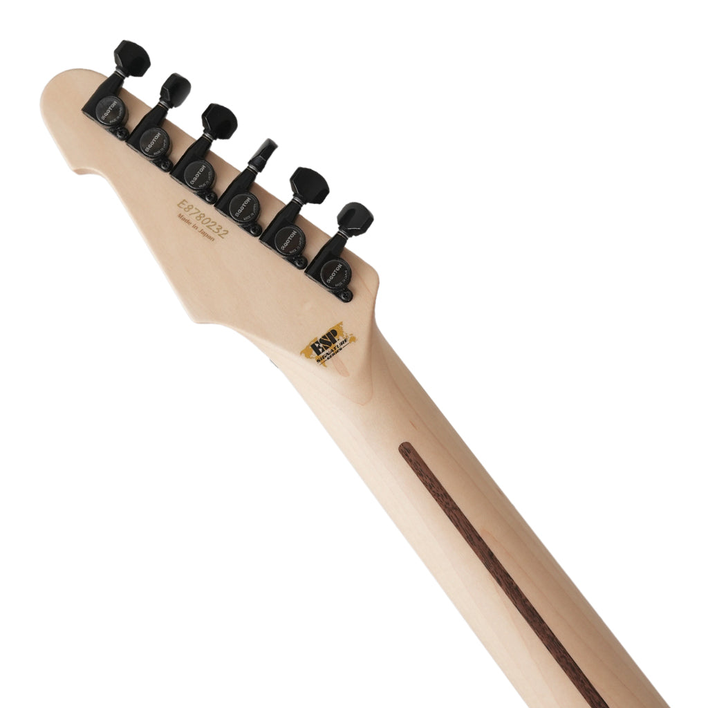 ESP Custom Shop George Lynch Signature M1 Tiger