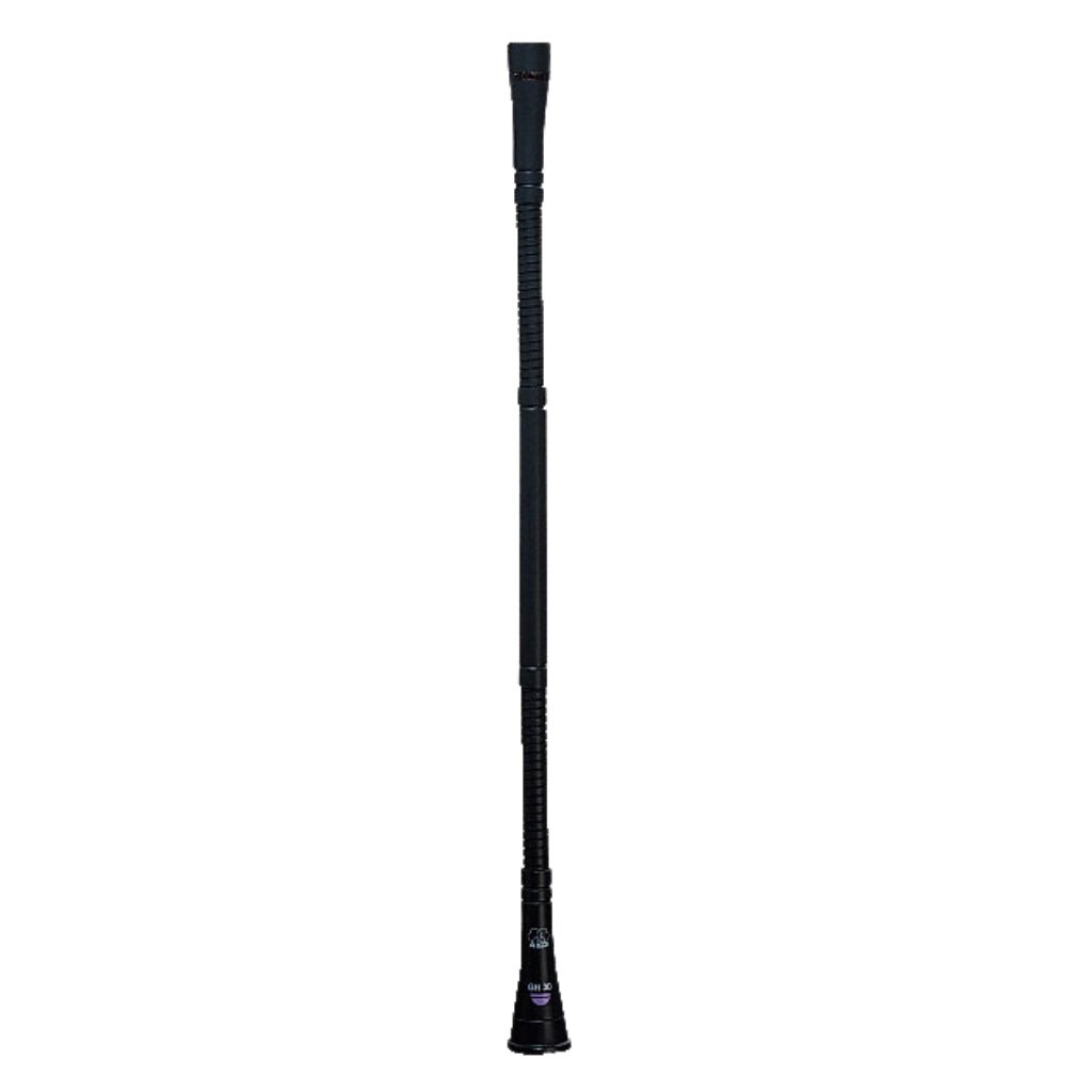 GN30 30cm GN Perm Install Capsule REQ Microphones Sky Music
