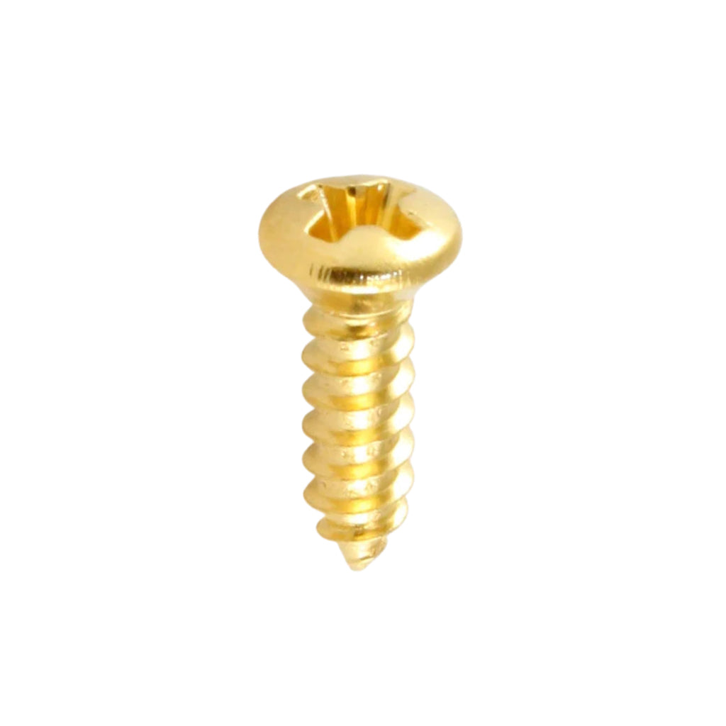 AMS - Gold Scratchplate Screws