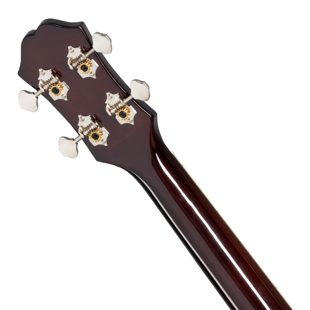 Epiphone HBIRD AC EL UKE TS