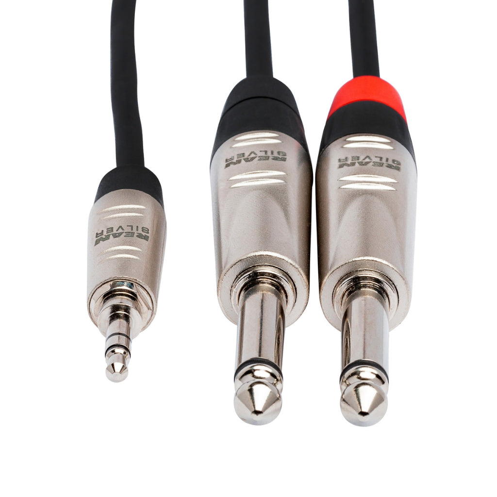 Hosa Technology - REAN 3.5 mm TRS to Dual 1/4 in TS - Pro Stereo Breakout Cable 6ft
