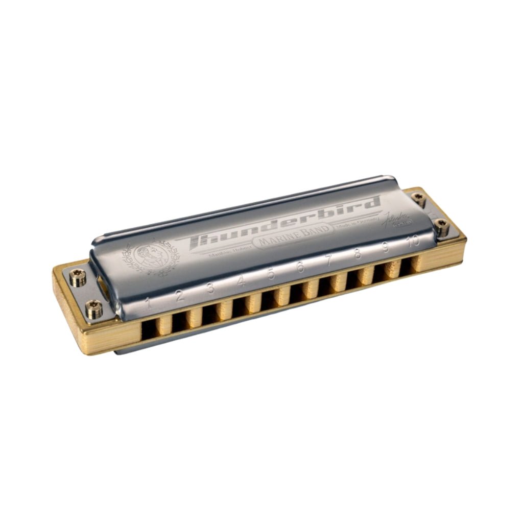 Hohner Marine Band Thunderbird Low Octave Harp- D Major Harmonicas Sky Music