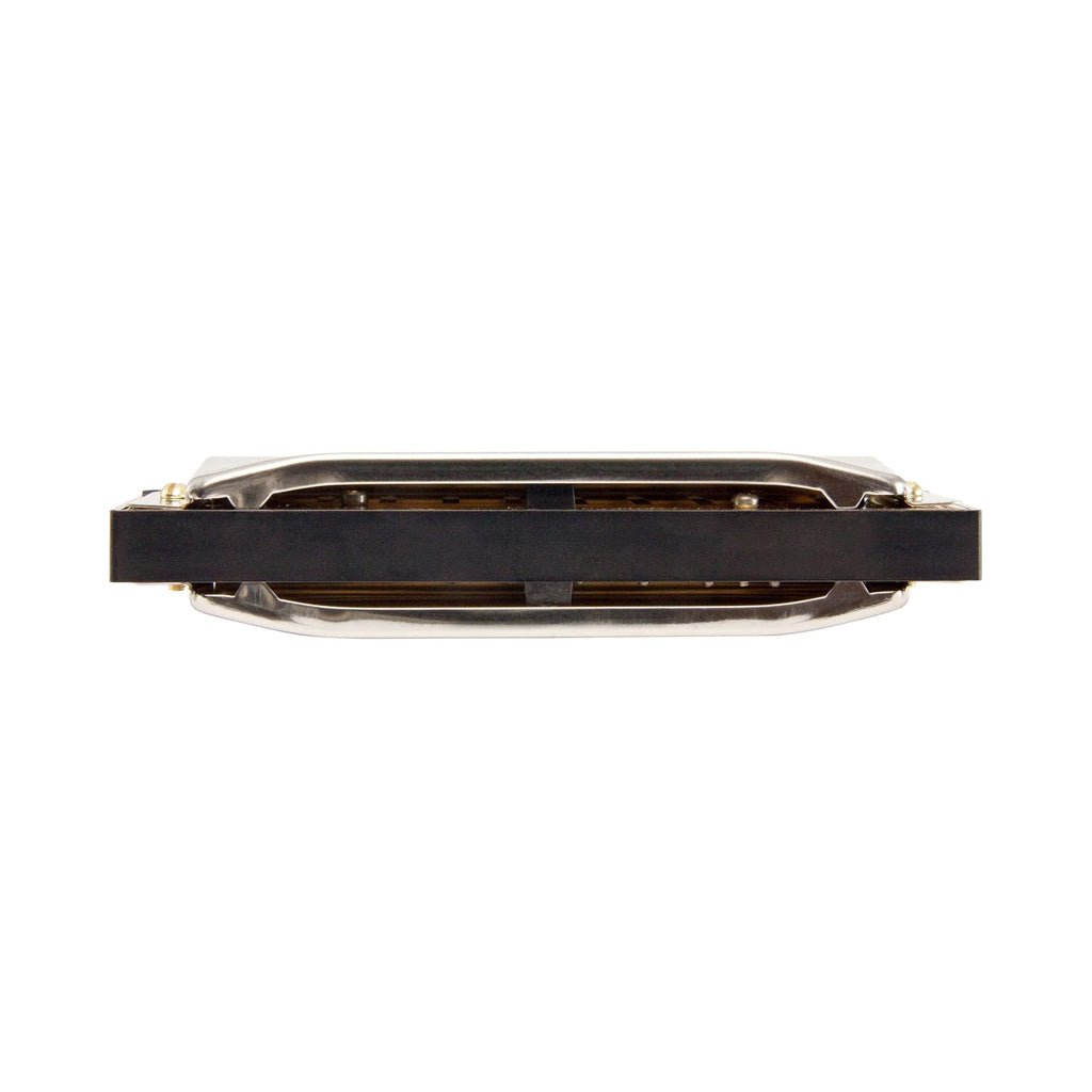 Hohner Progressive Series Special 20 10-Hole Diatonic Harmonica - D Harmonicas Sky Music