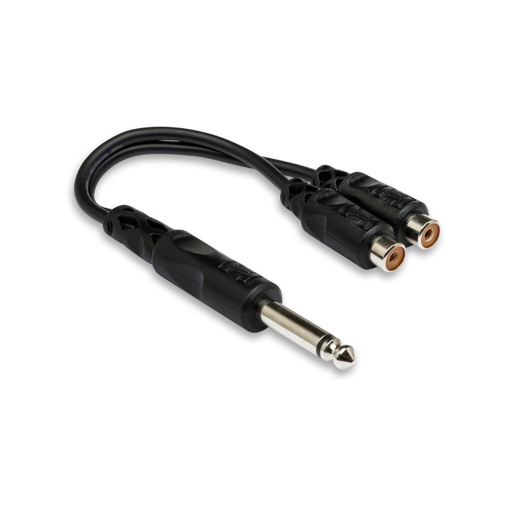 Hosa Technology 1/4 in TS to Dual RCAF Y Cable Other Sky Music