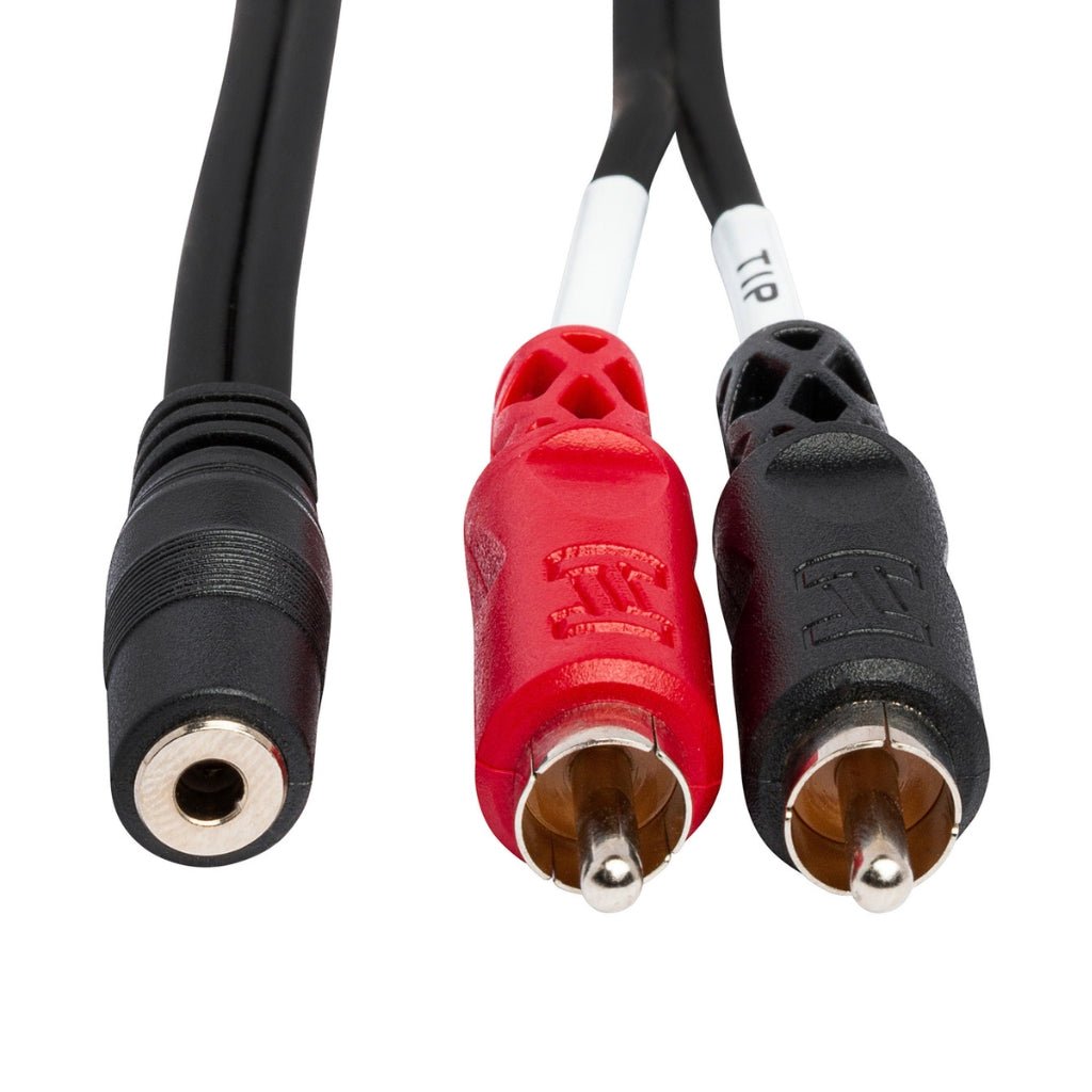 Hosa Technology 3.5 mm TRSF to Dual RCA Stereo Breakout Cable 10ft Cables Sky Music