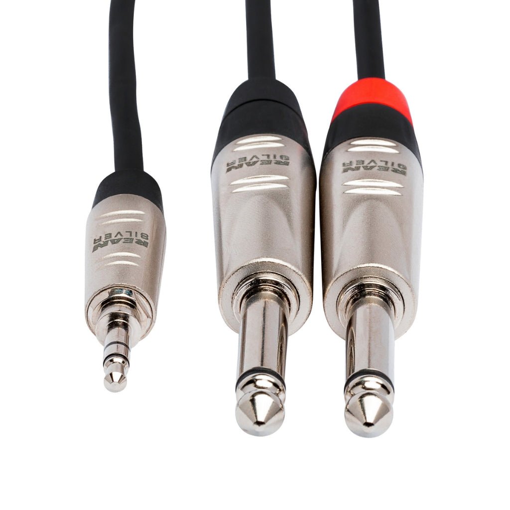 Hosa Technology REAN 3.5 mm TRS to Dual 1/4 in TS Pro Stereo Breakout Cable 10ft Cables Sky Music