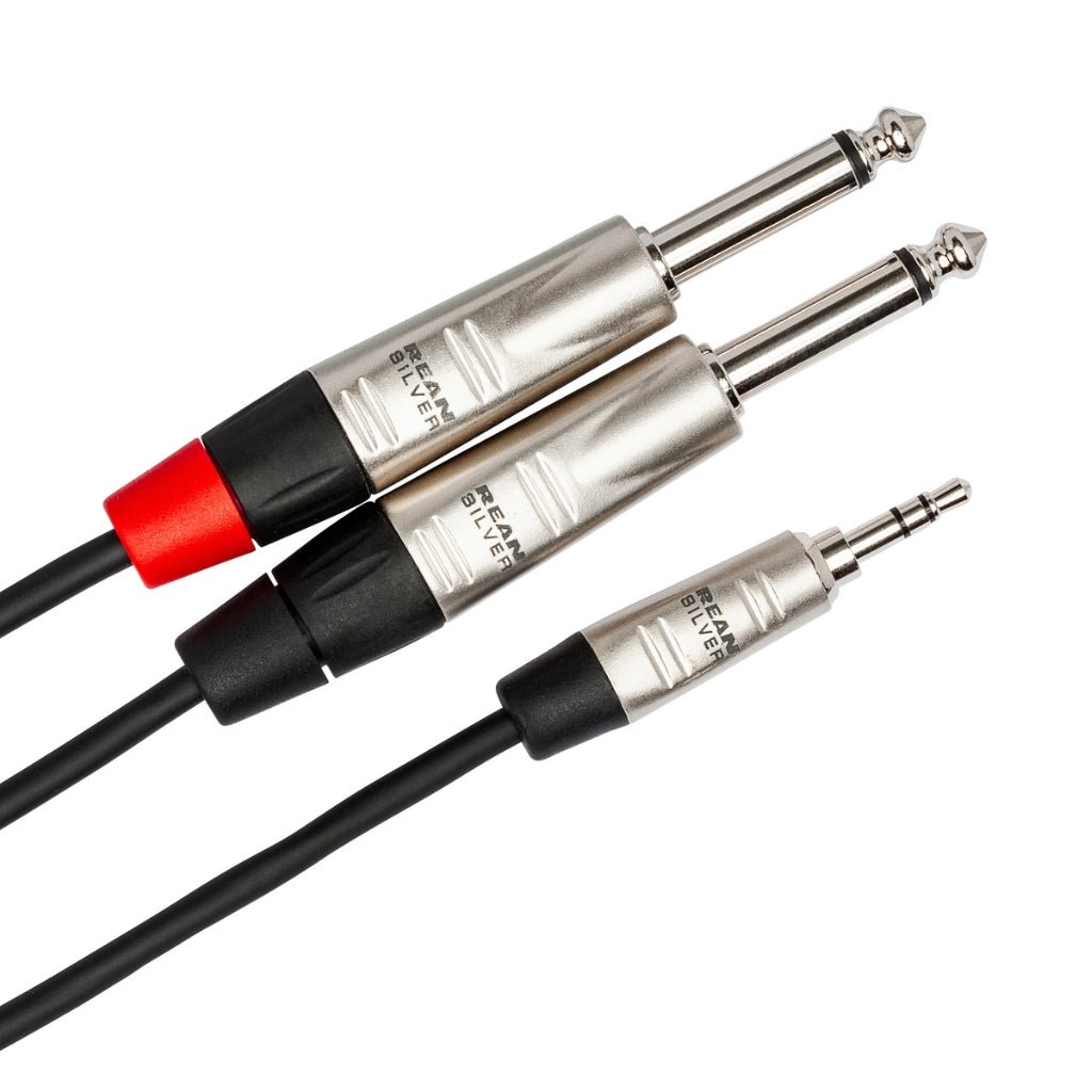 Hosa Technology REAN 3.5 mm TRS to Dual 1/4 in TS Pro Stereo Breakout Cable 3ft Cables Sky Music
