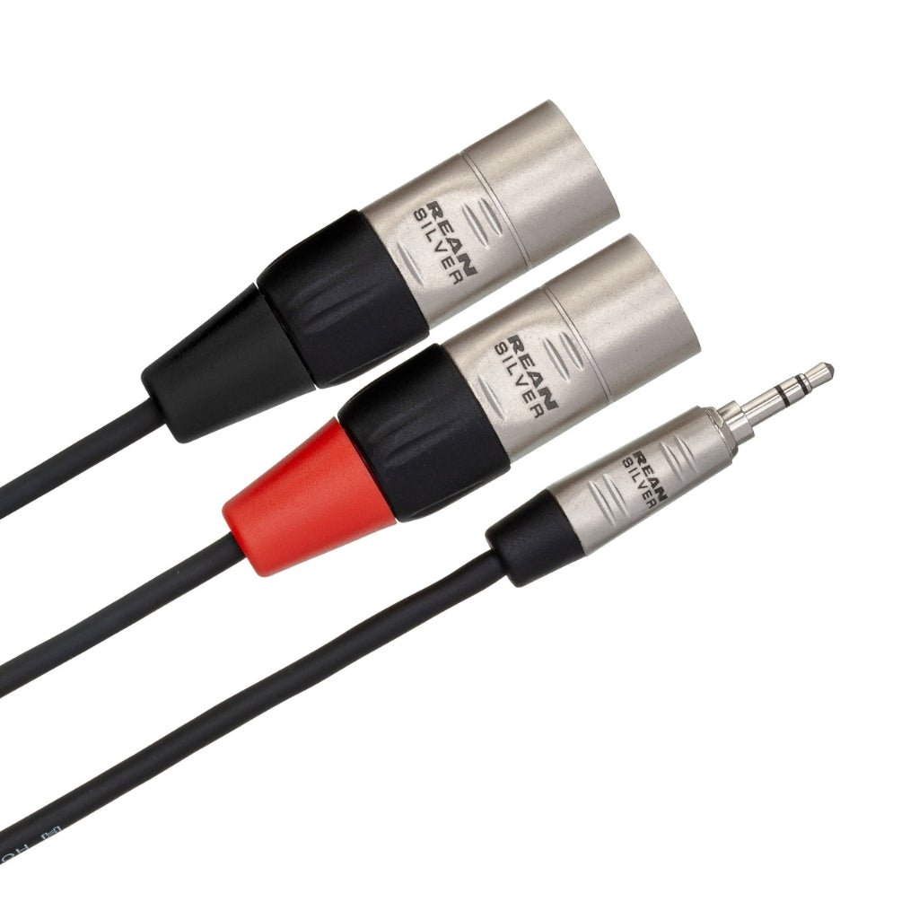 Hosa Technology REAN 3.5 mm TRS to Dual XLR3M Pro Stereo Breakout Cable 3ft Cables Sky Music