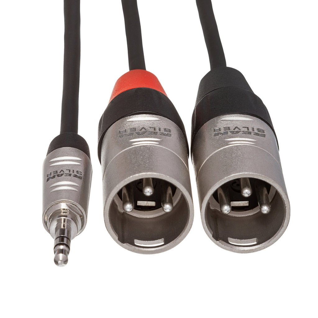 Hosa Technology REAN 3.5 mm TRS to Dual XLR3M Pro Stereo Breakout Cable 3ft Cables Sky Music