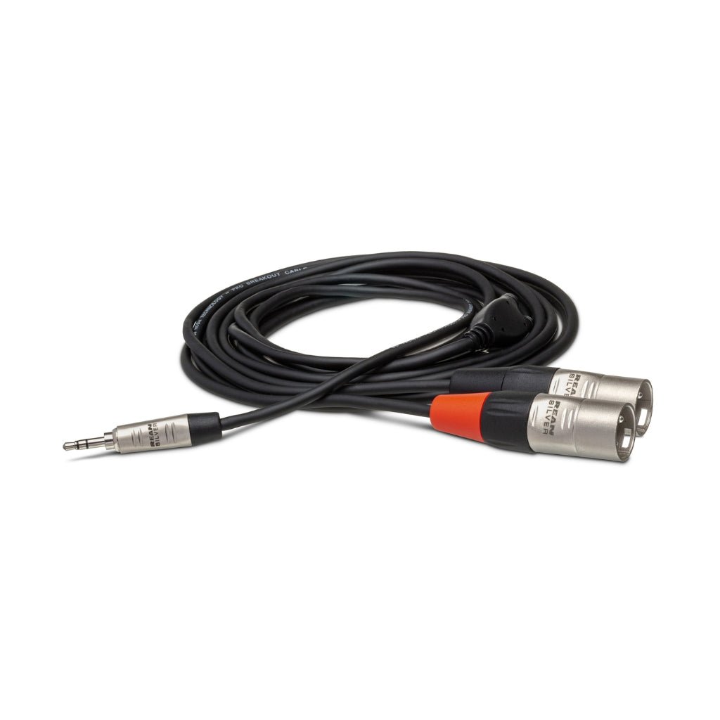 Hosa Technology REAN 3.5 mm TRS to Dual XLR3M Pro Stereo Breakout Cable 6ft Cables Sky Music