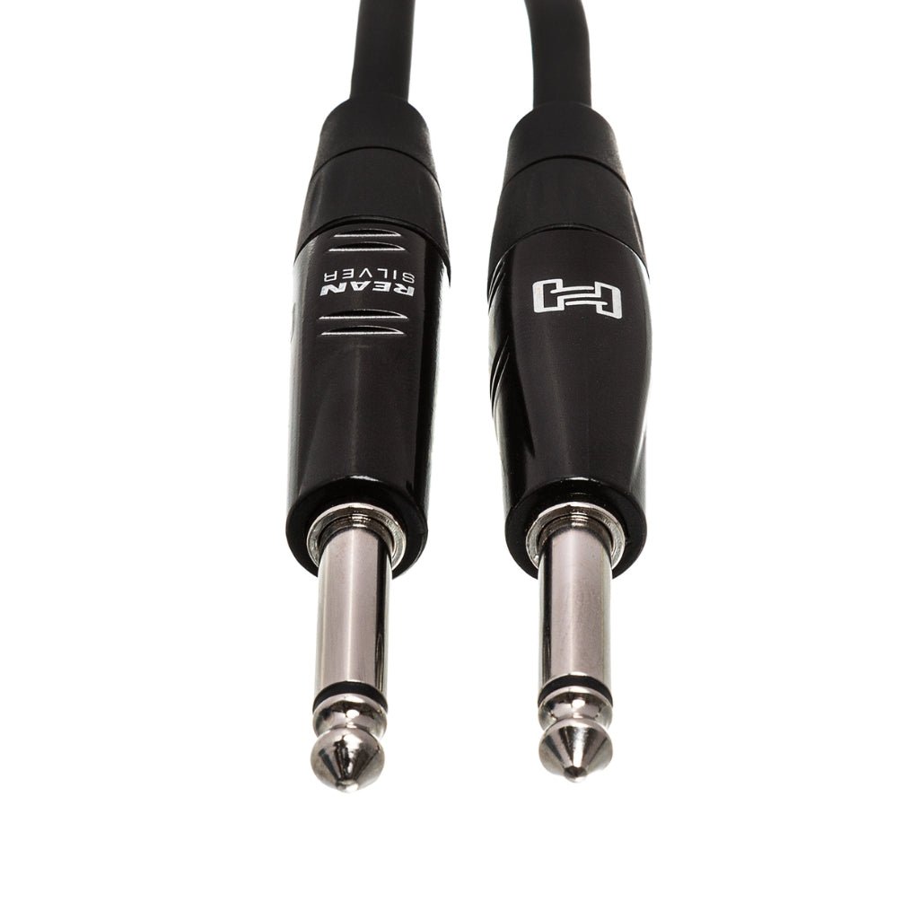 Hosa Technology REAN Straight to Same Pro Guitar Cable 10ft Cables Sky Music