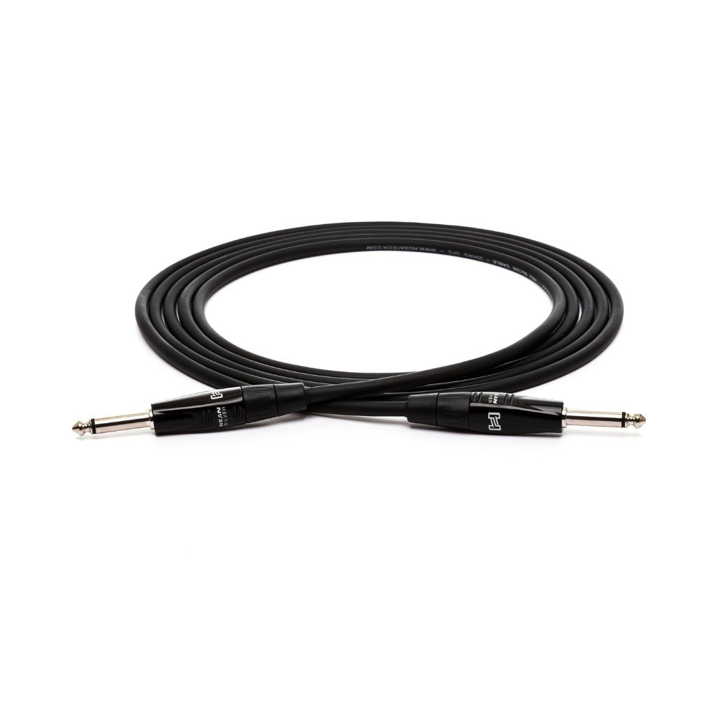 Hosa Technology REAN Straight to Same Pro Guitar Cable 10ft Cables Sky Music