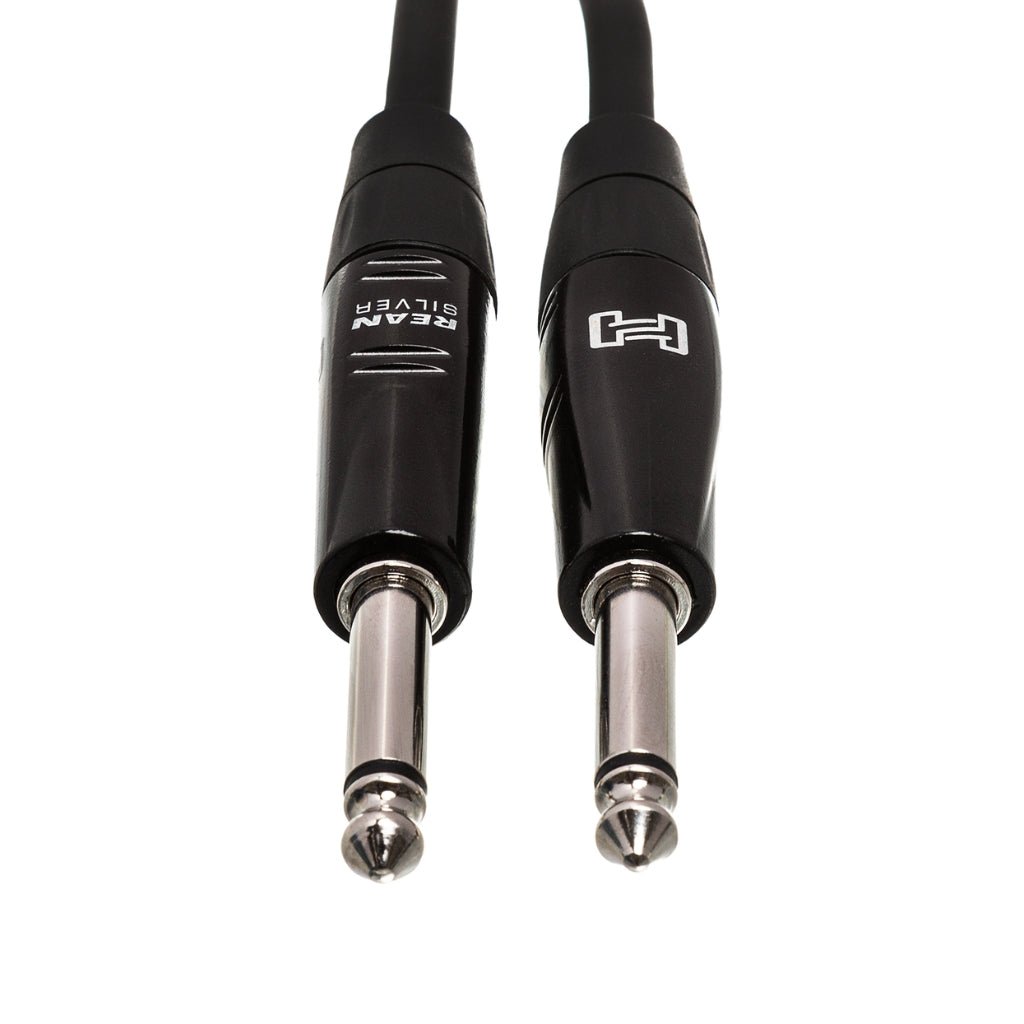 Hosa Technology REAN Straight to Same Pro Guitar Cable 5ft Cables Sky Music