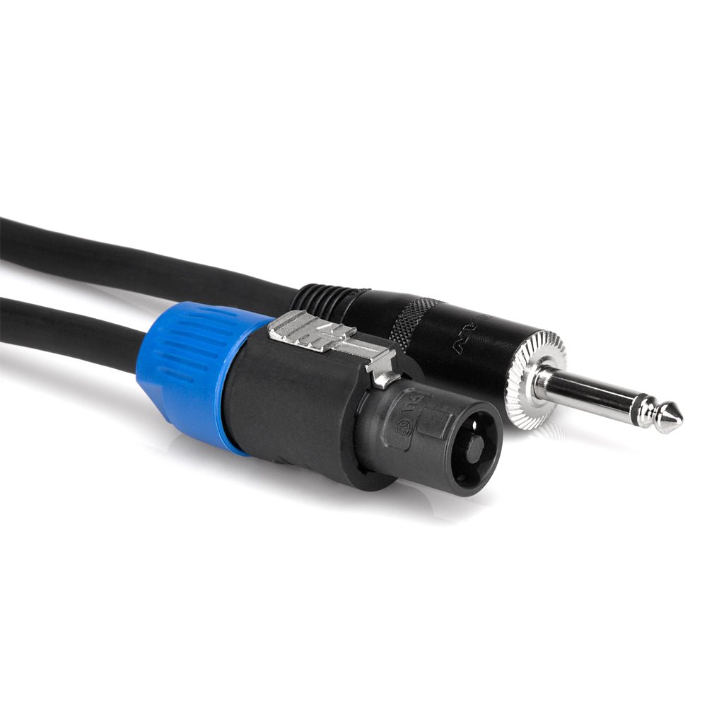 Hosa Technology SKT4100Q Spk Cbl Spkn-1/4 TS 100F Speaker Cables Sky Music