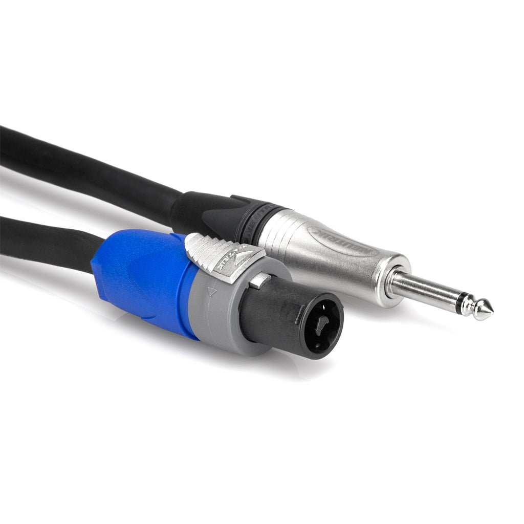 Hosa Technology Spk Cbl Spkn-1/4 TS 100F Speaker Cables Sky Music