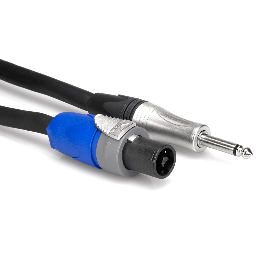 Hosa Technology Spk Cbl Spkn-1/4 TS 30Ft Speaker Cables Sky Music