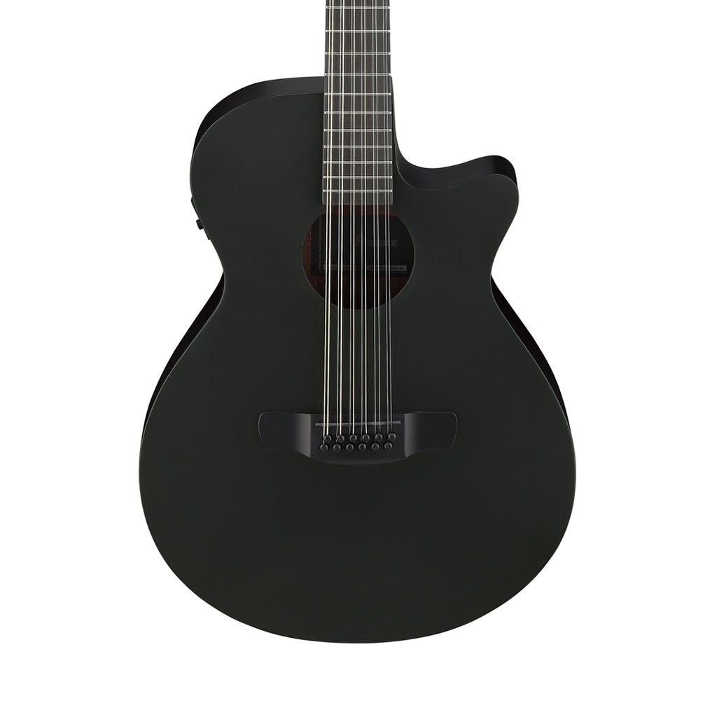 Ibanez AEG1221 12-String Acoustic Guitar w/Pickup - Black Out Acoustic Guitars Sky Music