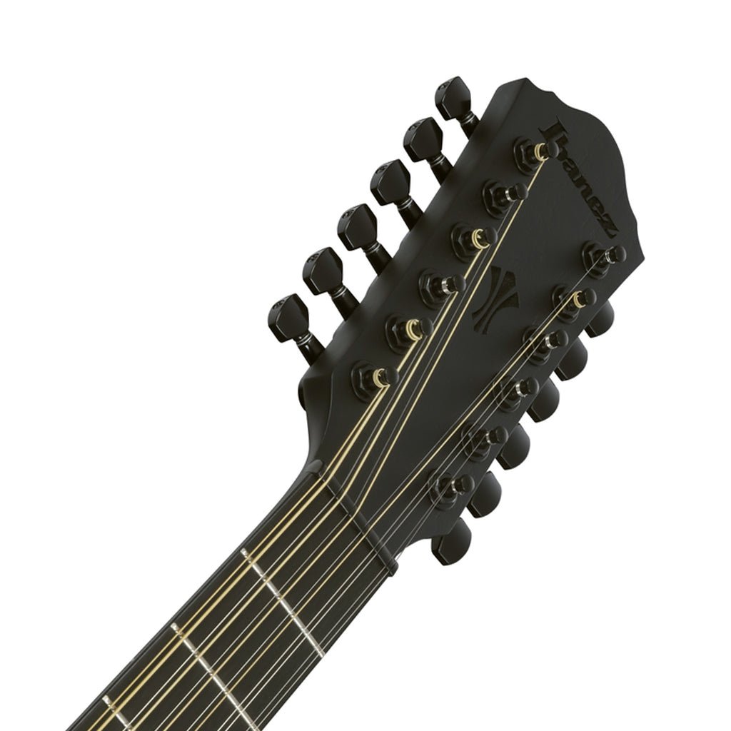 Ibanez AEG1221 12-String Acoustic Guitar w/Pickup - Black Out Acoustic Guitars Sky Music