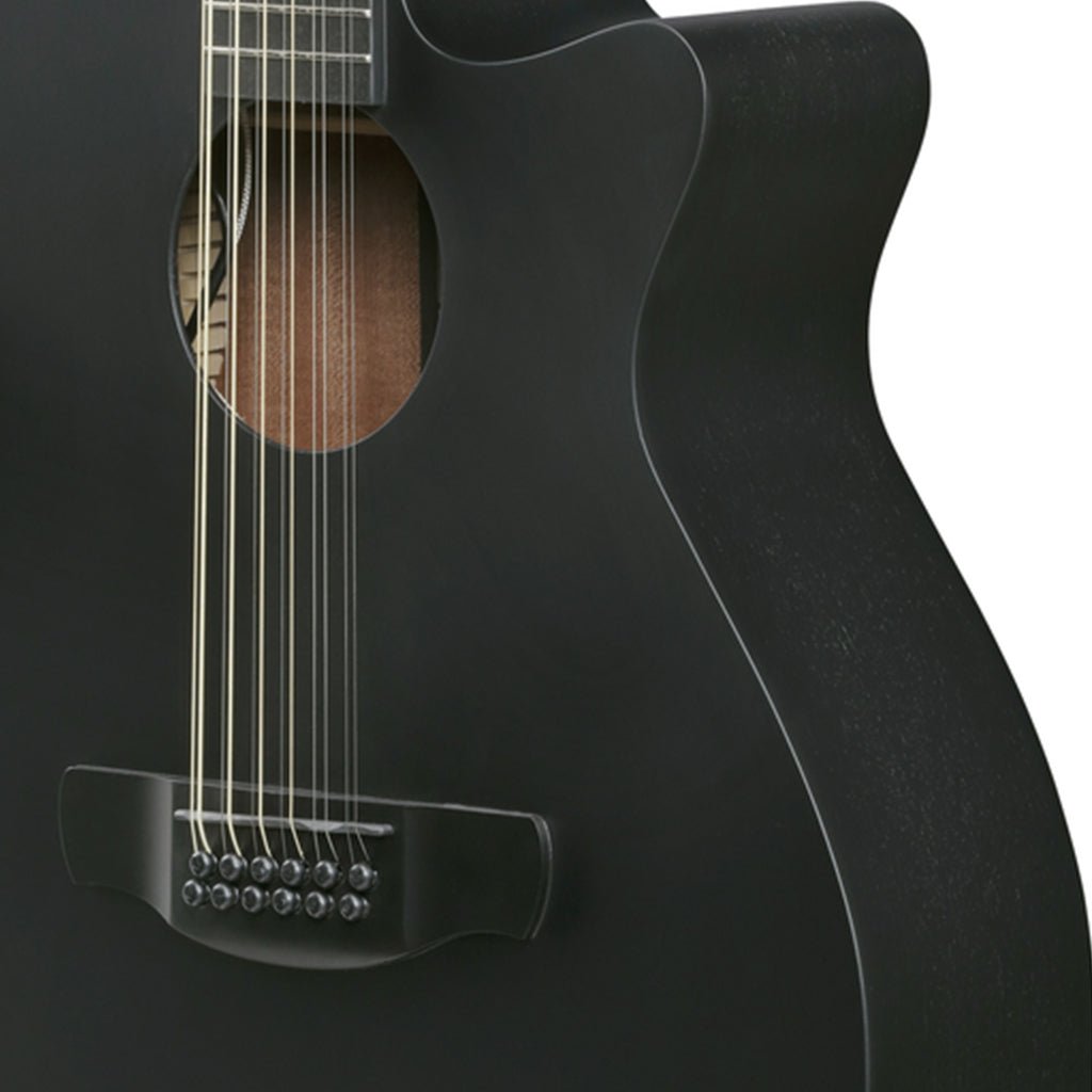 Ibanez AEG1221 12-String Acoustic Guitar w/Pickup - Black Out Acoustic Guitars Sky Music