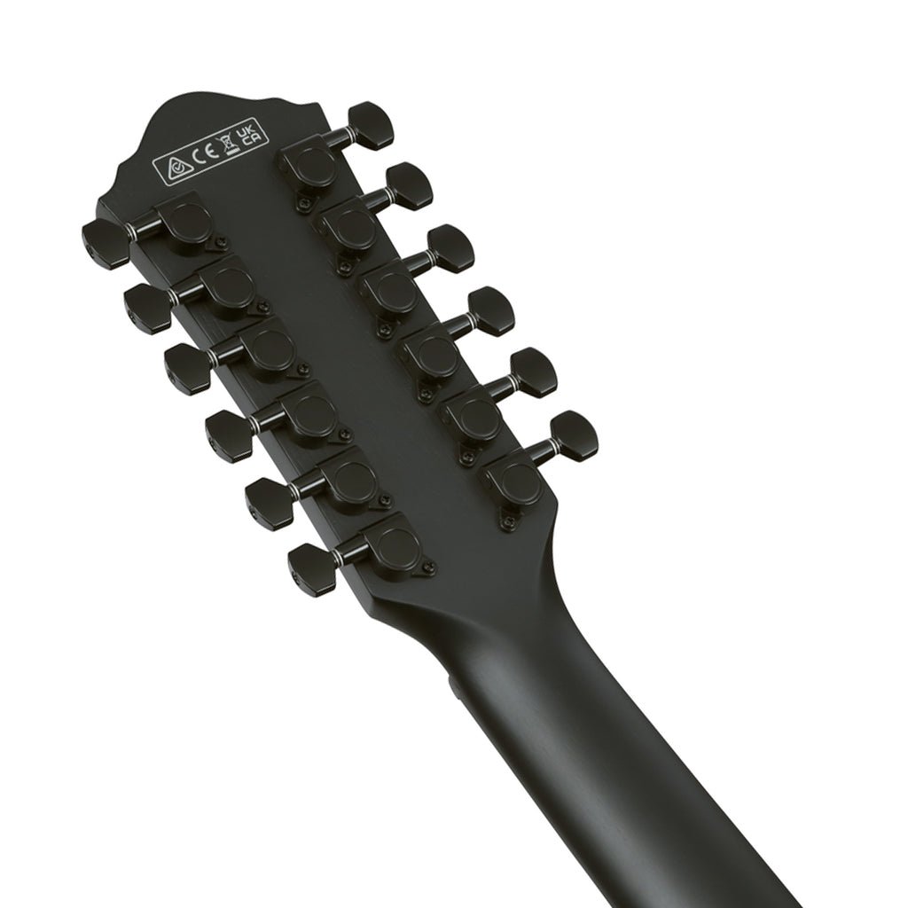 Ibanez AEG1221 12-String Acoustic Guitar w/Pickup - Black Out Acoustic Guitars Sky Music