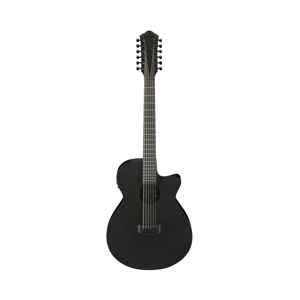 Ibanez AEG1221 12-String Acoustic Guitar w/Pickup - Black Out Acoustic Guitars Sky Music
