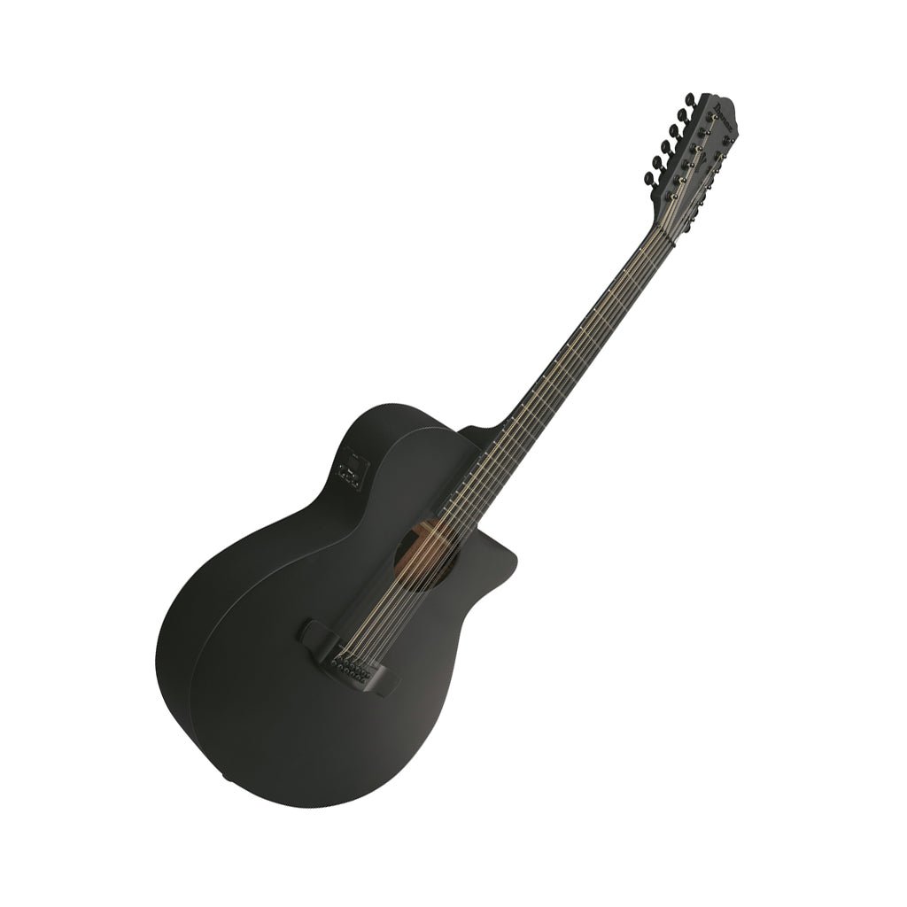 Ibanez AEG1221 12-String Acoustic Guitar w/Pickup - Black Out Acoustic Guitars Sky Music