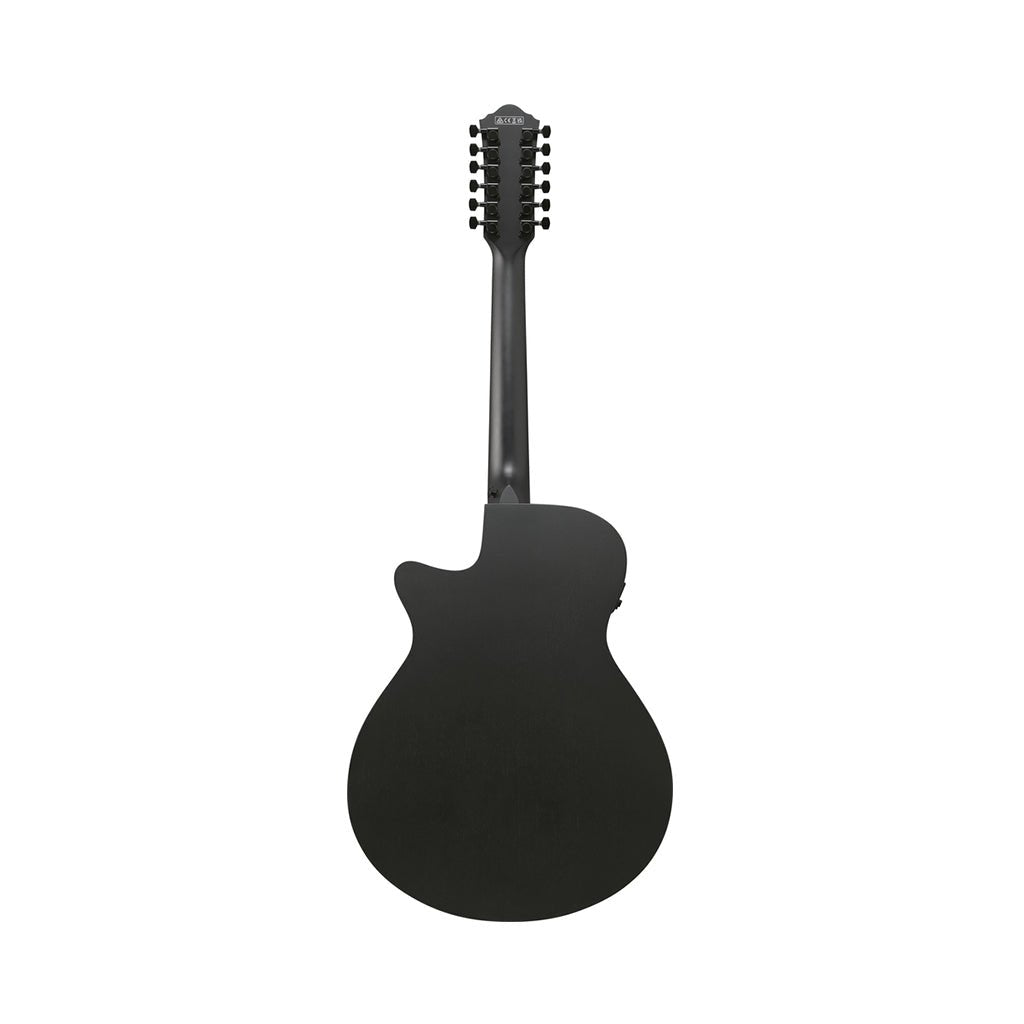 Ibanez AEG1221 12-String Acoustic Guitar w/Pickup - Black Out Acoustic Guitars Sky Music