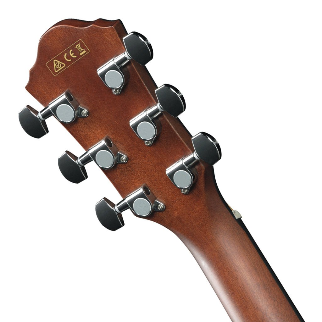 Ibanez AEG50 IBH Acoustic Guitar Acoustic Guitars Sky Music